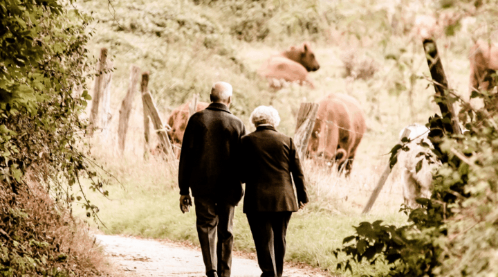 Intestate Succession in Maryland